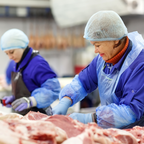 Gestão de Riscos na Produção de Alimentos de Origem Animal - 10 horas
