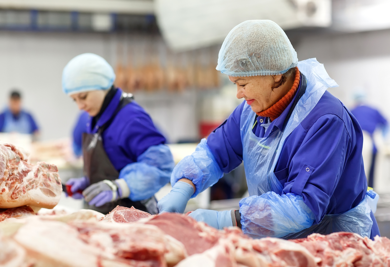 Fundamentos da Gestão de Riscos na Produção de Origem Animal