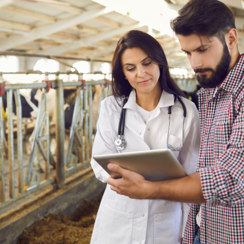 Pensamento Crítico e Solução de Problemas na Medicina Veterinária