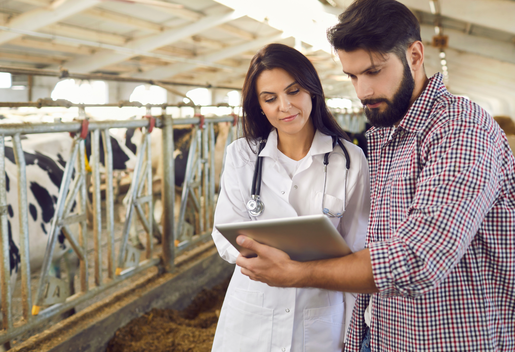 Pensamento Crítico e Solução de Problemas na Medicina Veterinária